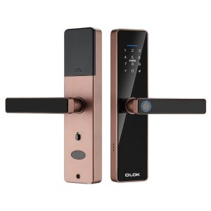 Khóa cửa vân tay OLOK H3910