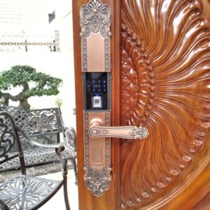 Khóa vân tay cổ điển VL89 9 VL88