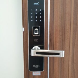 Khóa cửa vân tay O'LOK H7900 9 360 Giai Phong